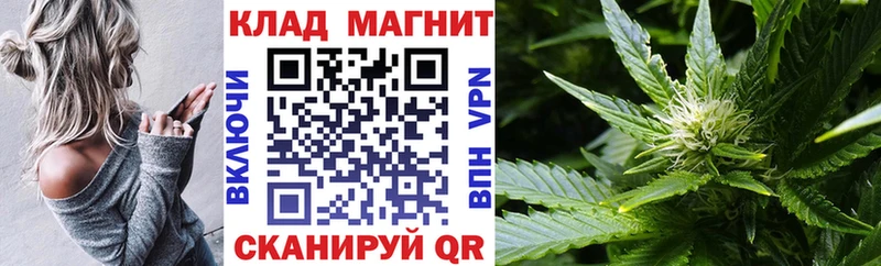 МАРИХУАНА Болотное