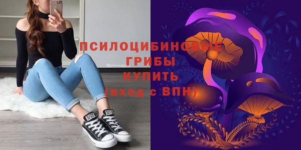 стаф Киреевск