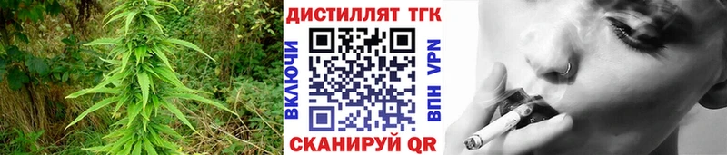 Купить где  Болотное  Дистиллят ТГК гашишное масло 