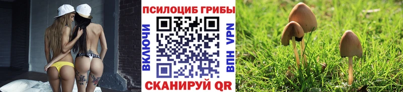 Галлюциногенные грибы Cubensis Болотное