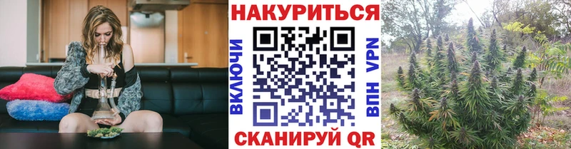 Купить закладки  Болотное  Бошки марихуана сатива 